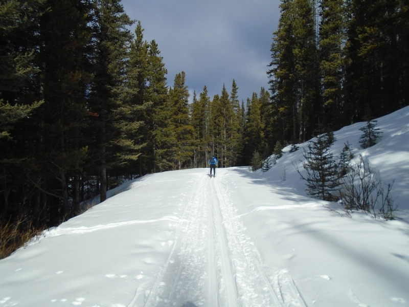 Moraine