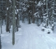 Fox creek