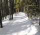 Moraine