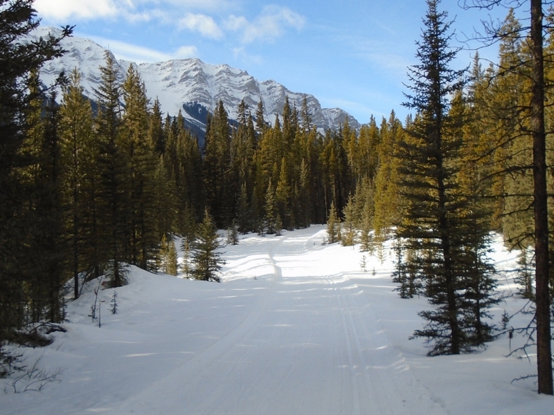 Cascade Valley