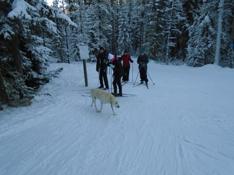 West Bragg Creek