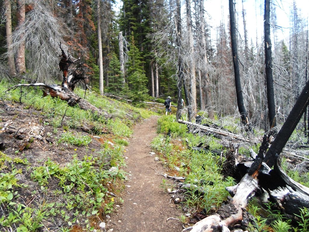 Buller pass hike