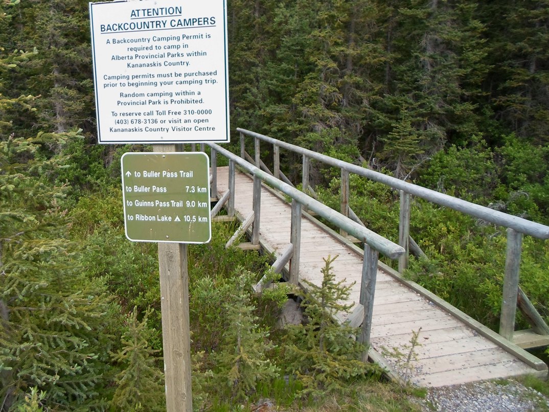 Buller pass hike