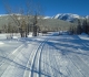 Bill Milne Jan 11