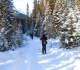 Goat Creek on Jan 7, 2017