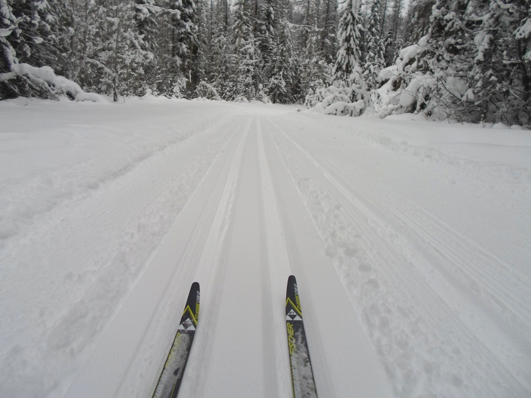 Kicking Horse River trail