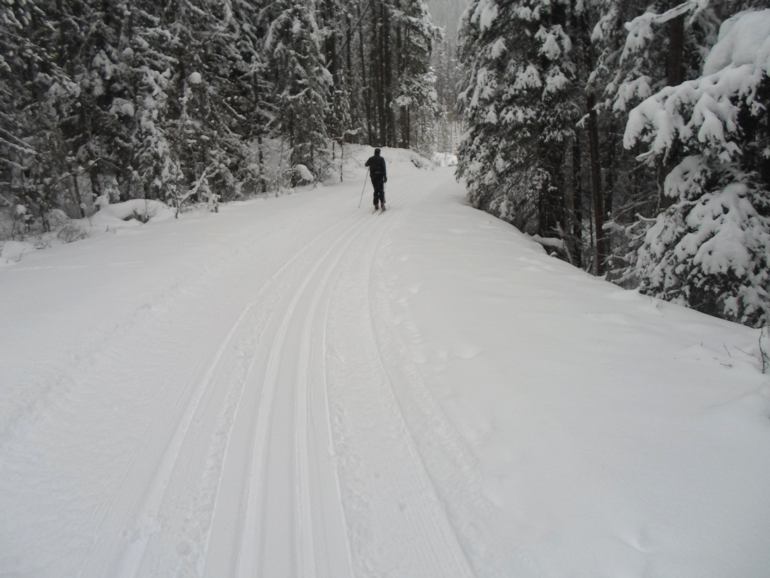 Kicking Horse River