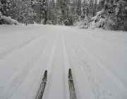 Kicking Horse River trail