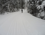 Kicking Horse River