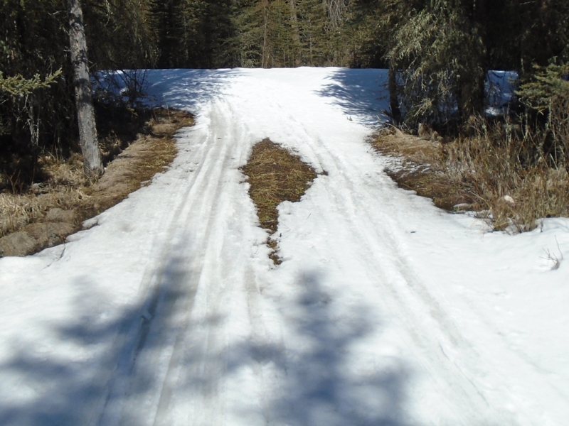 5. PLPP ski trail