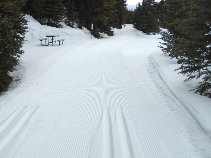6. Elk Pass - Blueberry junction