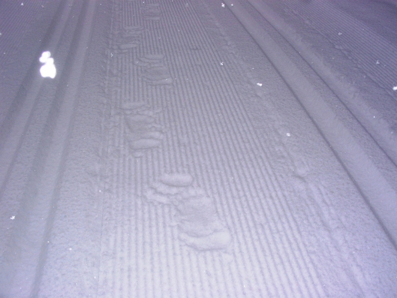 12. Tracks on Tyrwhitt