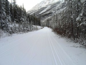 The Great Divide at Lake Louise