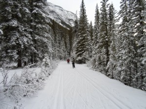 Skiers on Spray River West in Banff National Park(file photo)