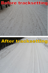 Aspen trail. The top photo was taken two days ago before tracksetting.