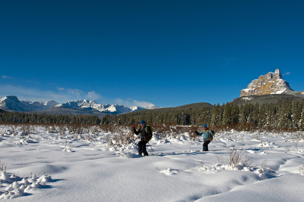 "Tracksetting" for the loppet in Moose meadows in Banff National Park