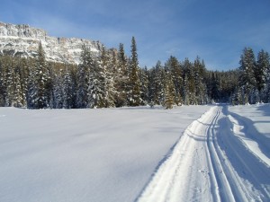 Lake Louise to Banff loppet leg 2