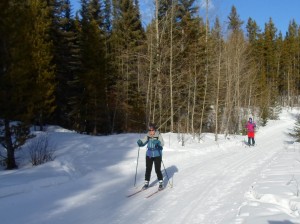 Skiers descending Skogan pass