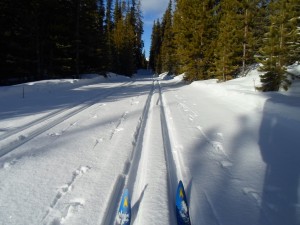 Sogan pass at 6K had a couple cm of fresh snow