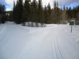 Brand new grooming on Marmot basin trail to the left. Skogan pass is on the right.