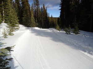 First tracks on Marmot basin