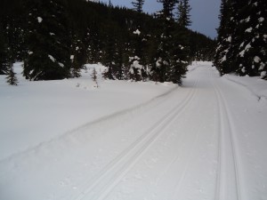 Upon reaching the Tyrwhitt meadows, the trail was in perfect shape with good tracks and no debris.
