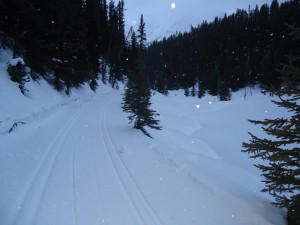 Elk pass with fresh snow