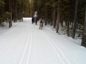 Skiers on Wheeler