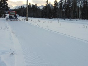 Fresh corduroy on the Bill Milne trail. On the second pass, a single track will be set on one side of the trail.  