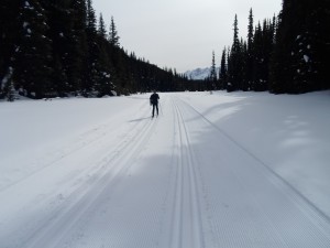 The snow and tracks on Tyrwhitt were fantastic