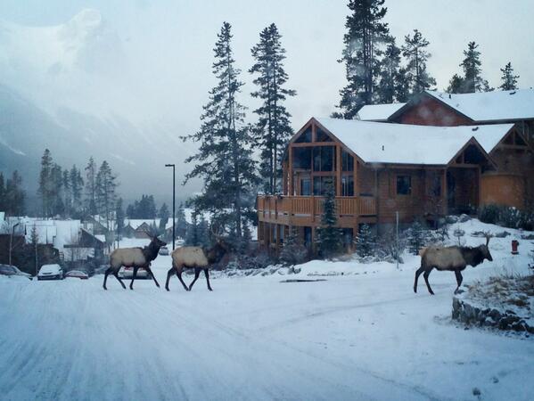 Elk Pass in Canmore
