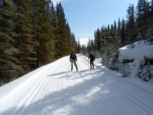 Ray and Mary Perrott skied the entire 29K round trip on Cascade valley trail