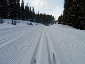 Skiing under the powerline at 7.5K