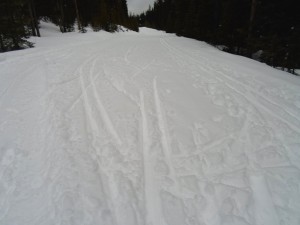 Fresh snow on the Great Divide trail