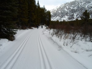 Lynx trail still has excellent tracks but they were soft in places and a bit icy in others