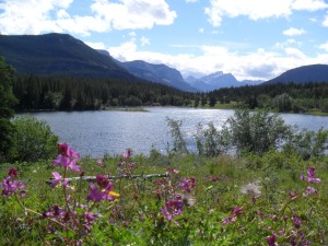 Middle Lake in Bow Valley provincial park
