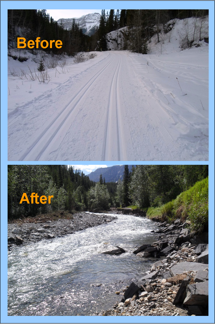 Ribbon creek: Before and after