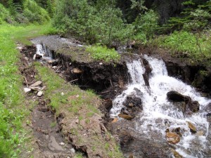 Whiskey Jack now features the "twin waterfall." Spotted Wolf creek enters the trail about 20 metres above this waterfall.