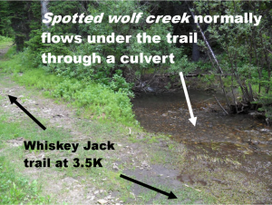 Once an inconspicuous trickle, Spotted Wolf creek has created a massive drainage ditch on Whiskey Jack for a distance of 300 metres
