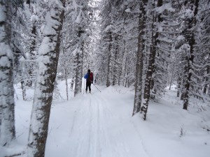 Fox creek ski trail(file photo)