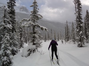 The Emerald Lake horse trail and alluvial fan is a spectacular ski trail