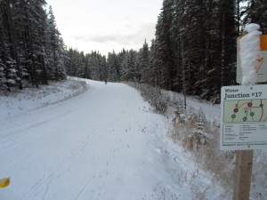 A natural snow trail at CNC which has been snowmobile packed