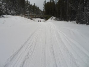 Natural snow on the Banff Trail Loop 