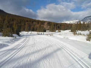 Lake Minnewanka road to Upper Bankhead is double trackset and groomed for skating