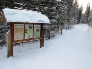 Welcome to Banff National Park. The trail was double trackset starting at this sign; single trackset from the trailhead to this sign which is 900 metres in. 