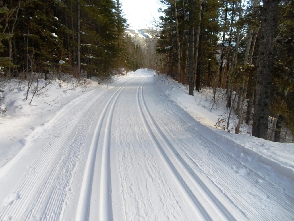 Skogan pass trails were trackset today (file photo from Nov 24, 2013)