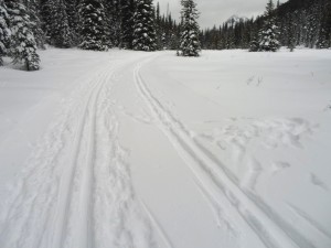 Skier tracks on the north end of Tyrwhitt