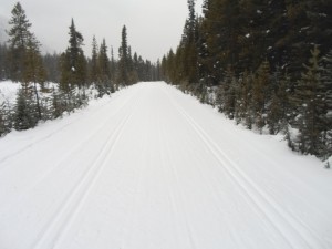 Great Divide was trackset today but already had a couple cm of new snow