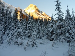 Copper mountain in the setting sun provided some spectacular scenery along Redearth creek