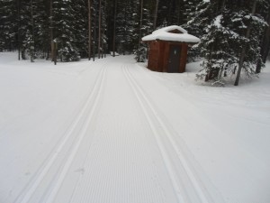 Spruce road, an easy trail in PLPP